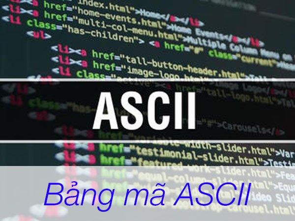 Rất Hay Bảng mã ASCII là gì Tổng quan về bảng mã ASCII TOTOLINK