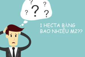 1 nền đất là bao nhiêu