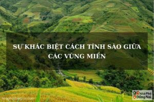 1 sào bằng bao nhiêu thước