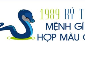 1989 mệnh gì hợp màu gì