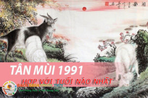 1991 hợp với tuổi nào