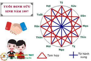 1997 hợp với tuổi nào