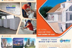 1m3 gạch aac bao nhiêu viên