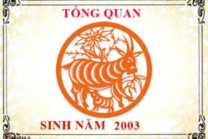 2003 mệnh mộc hợp màu gì