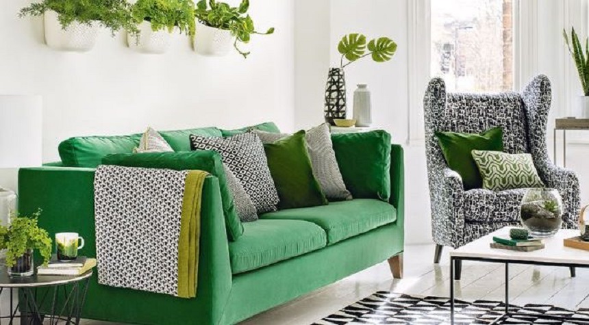 kết hợp ghế sofa và cây xanh