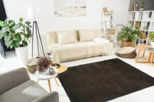 mua và chú ý khi dùng thảm sofa trời nồm