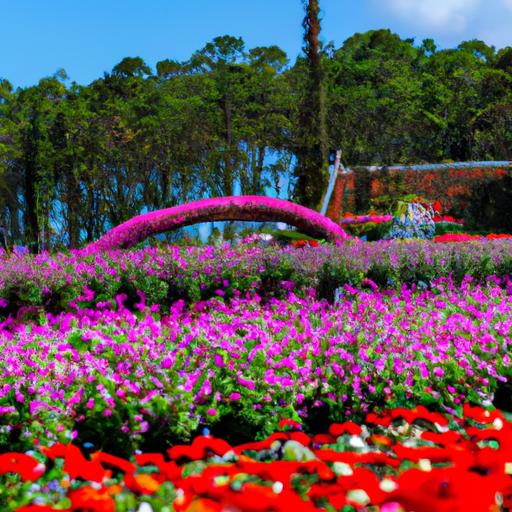 Vườn hoa Đà Lạt - điểm đến không thể bỏ qua khi ghé thăm thành phố này vào mùa xuân và hè