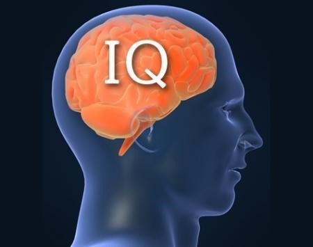 IQ là chỉ số thông minh, được đo bằng các bài kiểm tra trí thông minh và thường được sử dụng để đánh giá khả năng học tập và giải quyết vấn đề của một người.