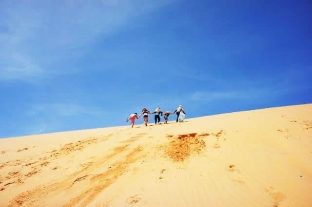 Đồi cát Phương Mai là một trong những địa điểm du lịch hấp dẫn tại tỉnh Bình Thuận, với những đồi cát trải dài tạo thành cảnh quan độc đáo, thu hút du khách đến tham quan và trải nghiệm các hoạt động vui chơi, giải trí.