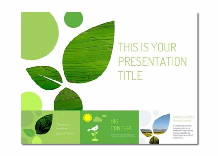 Mẫu Slide Powerpoint chuyên nghiệp lấy cảm hứng từ thiên nhiên giúp tạo ra những bài thuyết trình độc đáo và thu hút, với sự kết hợp tinh tế giữa hình ảnh thiên nhiên và các hiệu ứng trình chiếu tinh tế.
