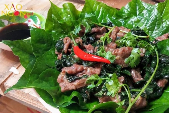 Công thức ướp thịt trâu xào lá lốt là một trong những món ăn truyền thống của người Việt Nam, được sử dụng từ rất lâu đời. Nhờ vào sự kết hợp vị chua, cay, mặn và ngọt của các nguyên liệu, món ăn này mang lại hương vị đặc trưng và hấp dẫn.