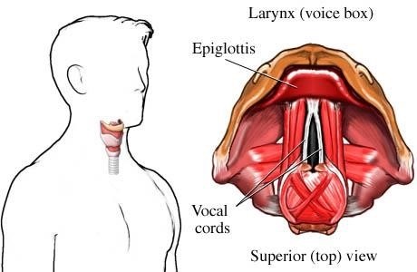 Cách cải thiện giọng hát đơn giản nhất là tập trung hít đúng hơi và dùng kỹ thuật hô hấp đúng cách, rèn luyện giọng từ thấp đến cao và sử dụng các bài tập khớp hợp môi và lưỡi để tăng cường độ linh hoạt và cải thiện chất giọng.