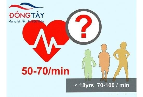 Nhịp tim bình thường của người trưởng thành thường dao động trong khoảng từ 60 đến 100 nhịp/phút, tùy thuộc vào tình trạng sức khỏe và hoạt động của cơ thể.