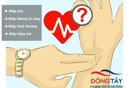 Kiểm tra nhịp đập mạnh hay yếu là một trong những phương pháp đơn giản để kiểm tra tình trạng sức khỏe của tim mạch. Nếu nhịp đập mạnh, có thể cho thấy sự căng thẳng hoặc sự kích thích. Nếu nhịp đập yếu, có thể cho thấy tình trạng yếu tim hoặc bệnh lý tim mạch.