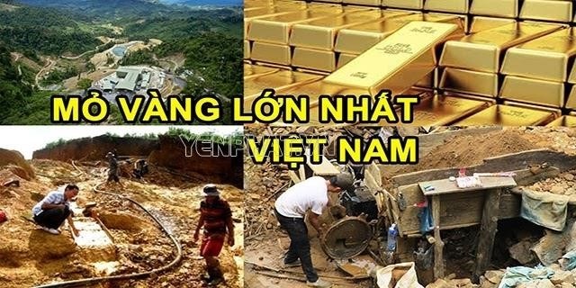 Một số tỉnh như Quảng Nam, Kon Tum và Đắk Nông có nhiều mỏ vàng với quy mô khai thác lớn, đóng góp quan trọng cho ngành công nghiệp khai thác khoáng sản của nước ta.