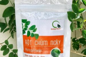 Cach Su Dung Bot Chum Ngay 531152