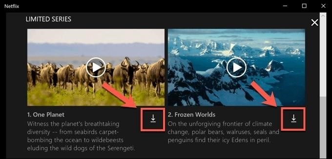 Để tải phim trên Netflix về máy tính, đầu tiên bạn cần đăng nhập vào tài khoản Netflix của mình, sau đó chọn phim muốn tải xuống và nhấn vào nút 