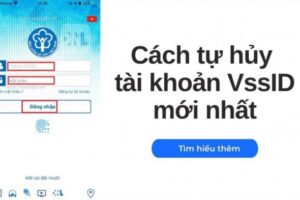 Cach Tinh Bao Hiem Xa Hoi 1 Lan Tren Vssid The Nao 866976