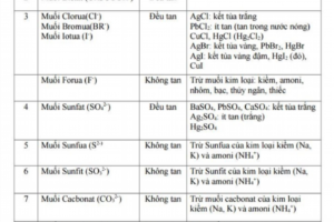 Day Gom Cac Muoi Deu Tan Trong Nuoc La 842292