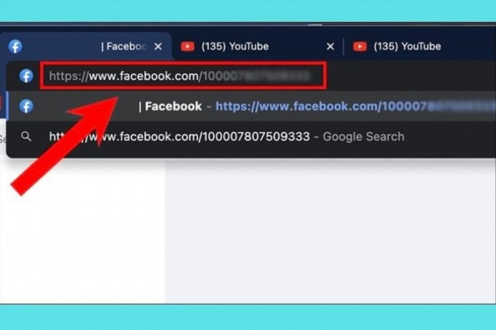 Bạn paste chuỗi số này vào thanh địa chỉ của trang web facebook.com/số đã copy và nhấn Enter/Return để tìm thông tin người này.