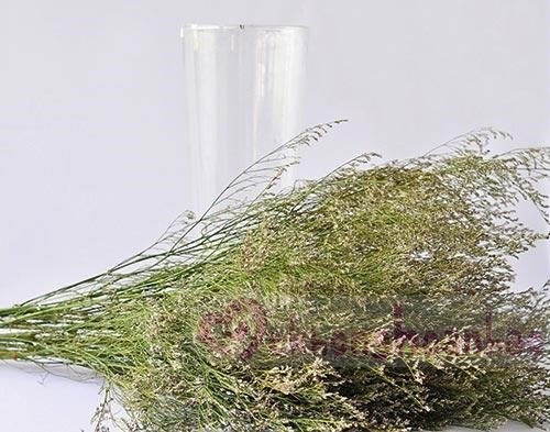 Nguyên vật liệu để cắm hoa sao tím bao gồm hoa sao tím, cành lá mềm mại và dây raffia để trang trí. Việc sử dụng các vật liệu này sẽ tạo ra một bó hoa đẹp mắt và ấn tượng.