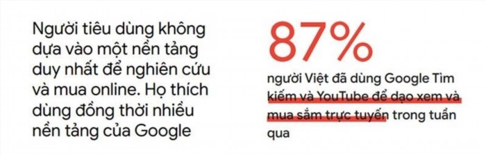 87% dân Việt Nam dùng Google và Youtube để tìm kiếm.