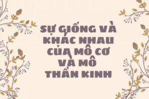 Mo La Gi Phan Loai Cac Loai Mo Va Chuc Nang Cac Loai Mo 908479