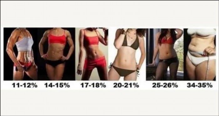 Tỷ lệ mỡ nữ cơ thể.