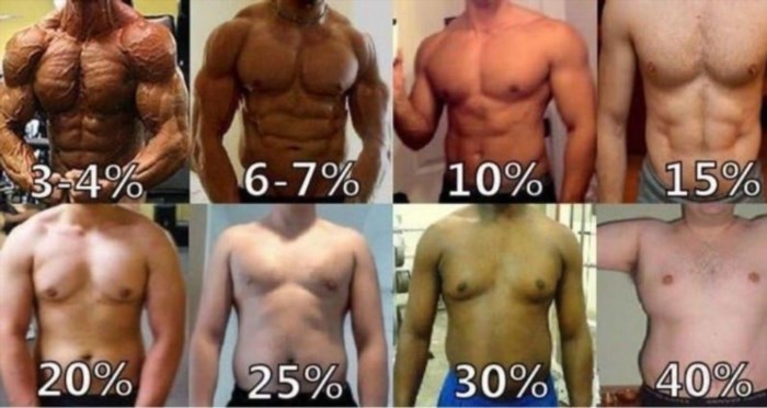 Tỷ lệ lượng mỡ trên cơ thể nam