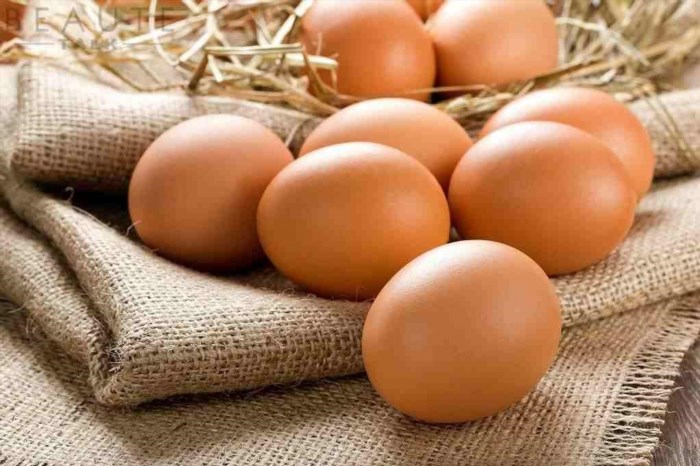 Rà soát trứng gà ung qua bên ngoài giúp phát hiện những trứng có vỏ bị nứt, bẩn hoặc có dấu hiệu bị hư hỏng, giúp bảo đảm an toàn thực phẩm và sức khỏe người tiêu dùng.