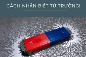 Tu Truong La Gi Cach Nhan Biet Tu Truong De Hieu Nhat 628661