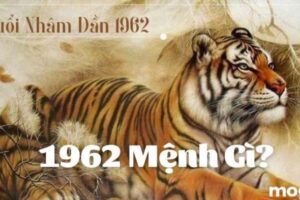 1962 Menh Gi Giai Ma Tu Vi Nguoi Sinh Nam Nham Dan 1962 933521