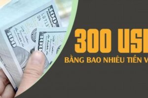 300 Do La My Usd Bang Bao Nhieu Tien Viet Nam 799567