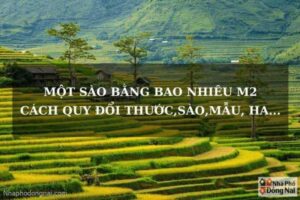 Mot Sao Bang Bao Nhieu M2 470362