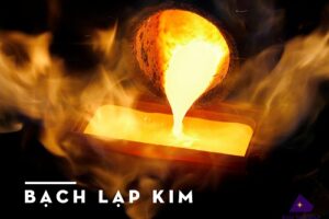 Bạch lạp kim và đại lâm mộc