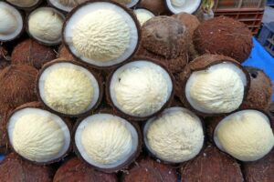 Các món ăn từ mộng dừa