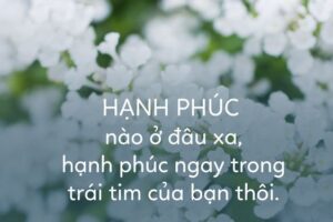 Các tuổi hợp nhau trong hôn nhân