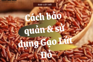 Cách bảo quản cơm gạo lứt trong tủ lạnh