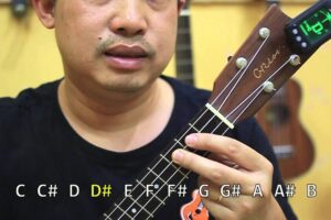 Cách chỉnh dây đàn ukulele bằng điện thoại