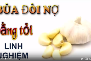 Cách làm bùa đòi nợ bằng quả đu đủ