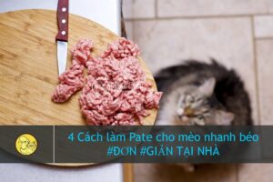 Cách làm pate bò cho mèo