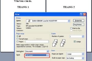 Cách lật giấy in 2 mặt