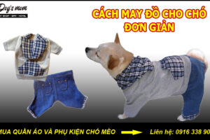 Cách may đồ cho chó