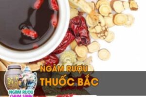 Cách ngâm rượu thuốc bắc cho bà đẻ