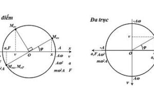 Cách sử dụng đường tròn lượng giác vật lý 12
