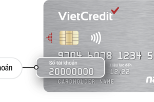 Cách thanh toán thẻ tín dụng vietcredit