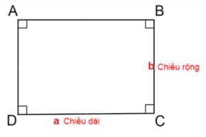 Cách tính nửa chu vi hình chữ nhật