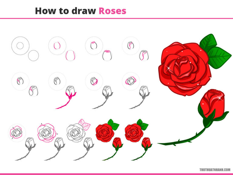 Rất Hay: 15 Cách vẽ hoa hồng đơn giản nhất bằng bút chì