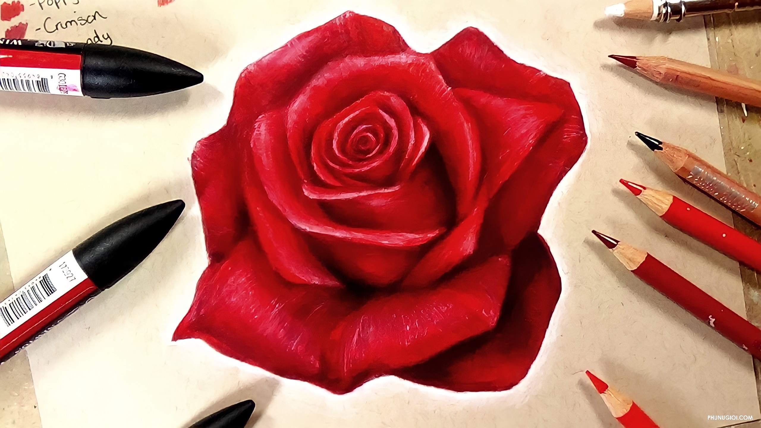 Rất Hay: Cách vẽ hoa Hồng đơn giản, 3D bằng bút chì, bút màu