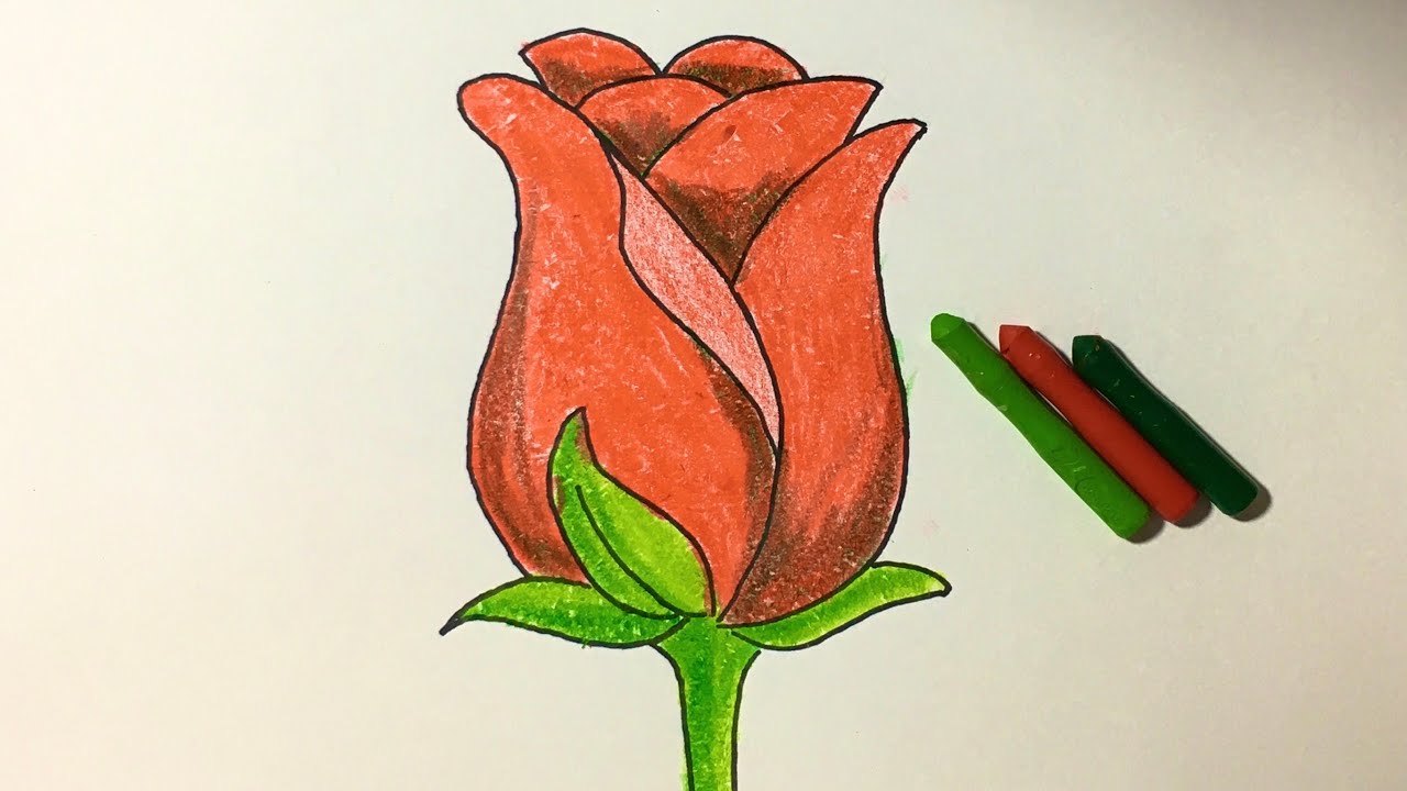 Xem hơn 48 ảnh về hình vẽ hoa hồng đẹp - daotaonec